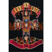 Guns & Roses Appetite For Destruction